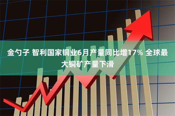 金勺子 智利国家铜业6月产量同比增17% 全球最大铜矿产量下滑