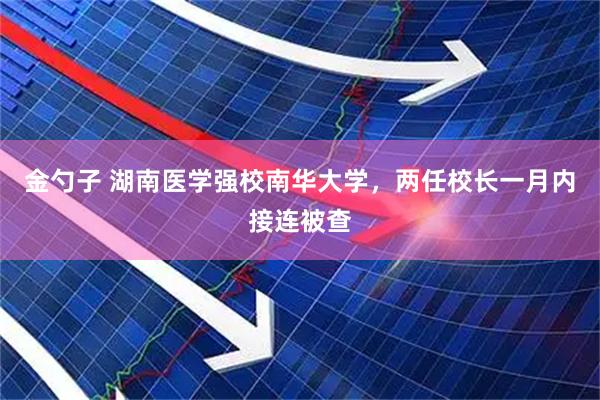 金勺子 湖南医学强校南华大学，两任校长一月内接连被查